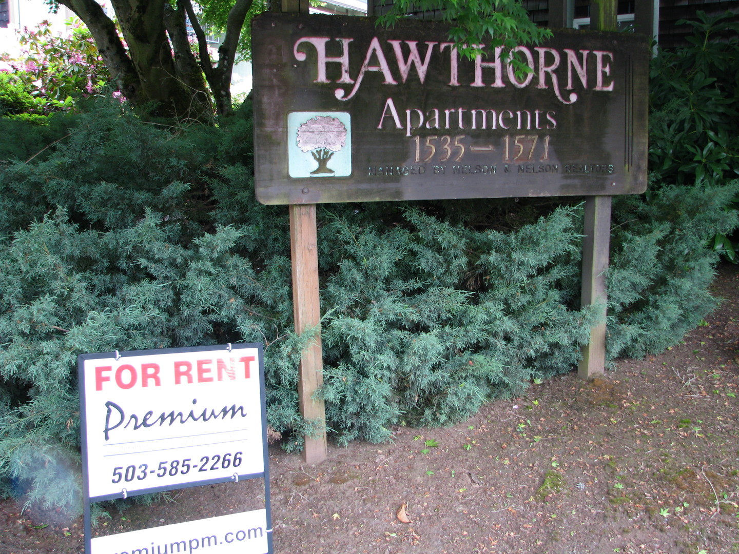 Salem Apartment: 1541 Commercial Street SE