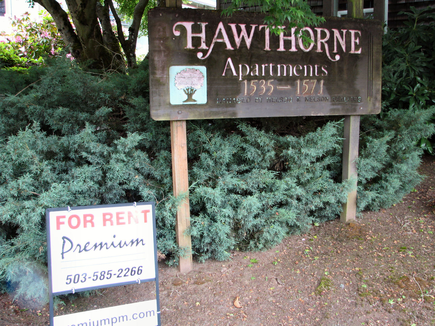 Salem Apartment: 1565 Commercial Street SE