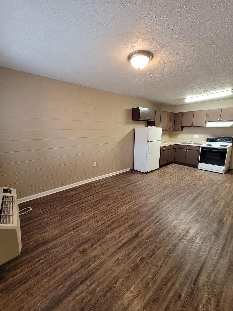 Athens Apartment: 524 Vine Street