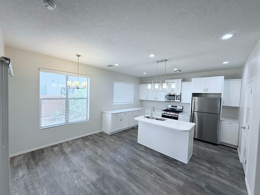 Stylish Brand New 3 Bedroom 2 1/2 Bath Townhome for Rent! – photo 1