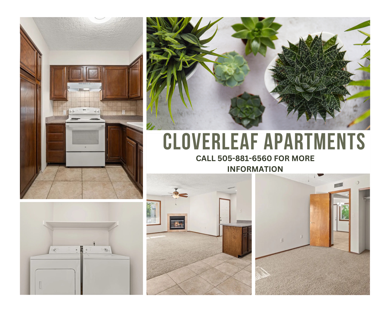 Albuquerque Apartment: 4300 Bryn Mawr Dr. NE