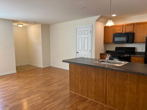 1 Bed 1 Bath Apartment