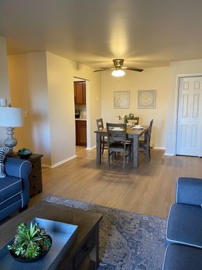 Recently Renovated 2 bedroom in Albany! – photo 1