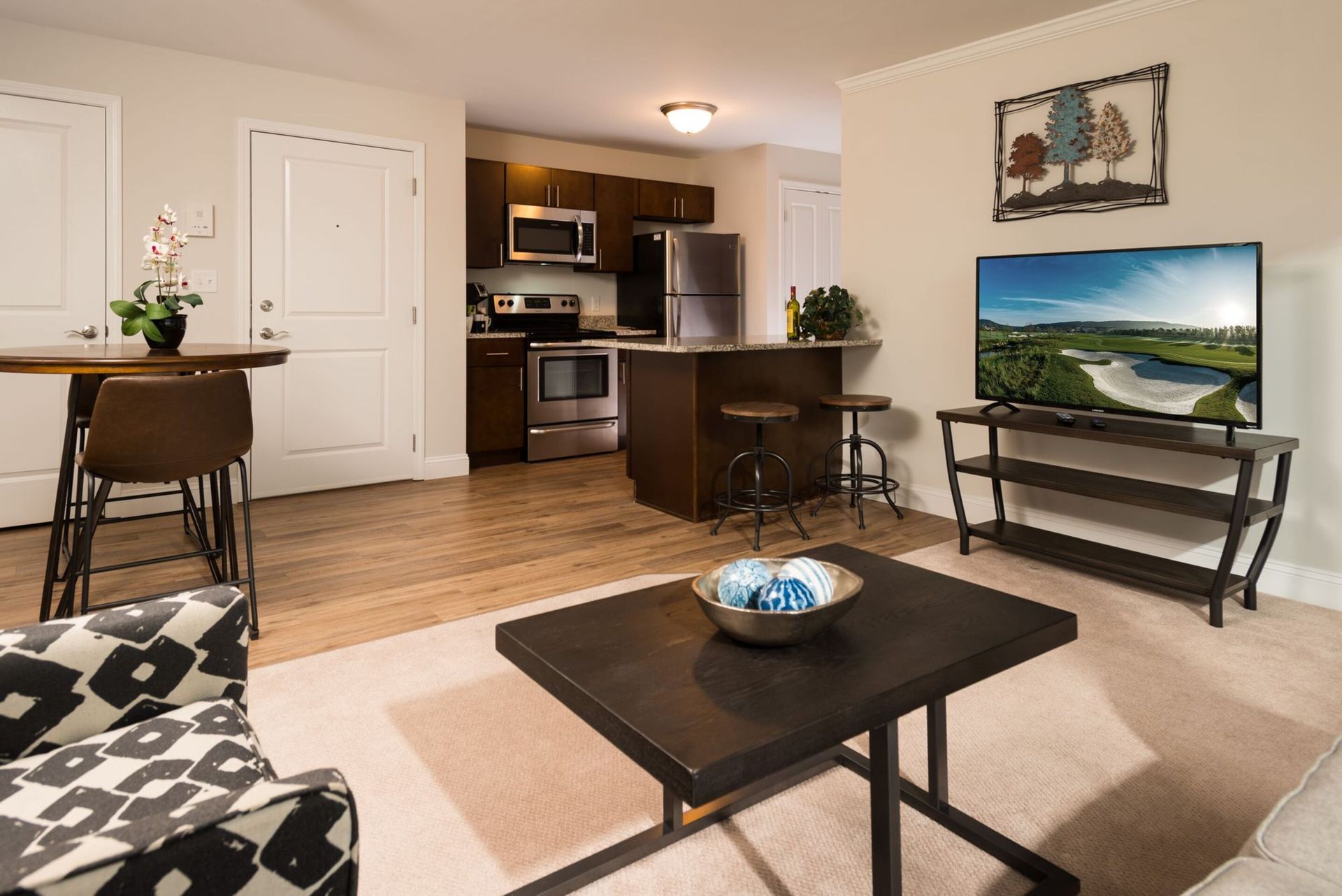 Cohoes Apartment: 1000 Hudson Square