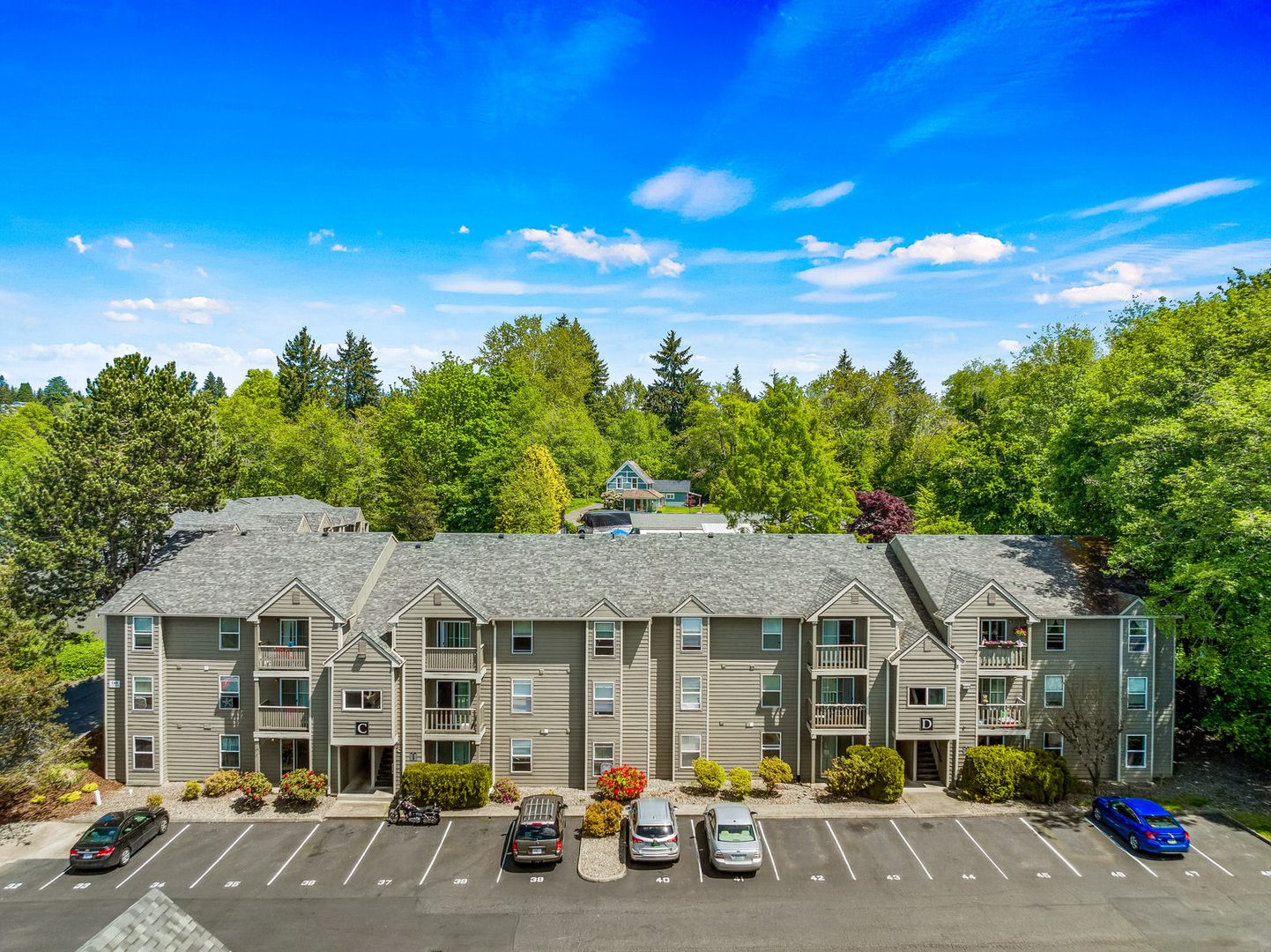 Olympia Apartment: 1125 12th Ave SE