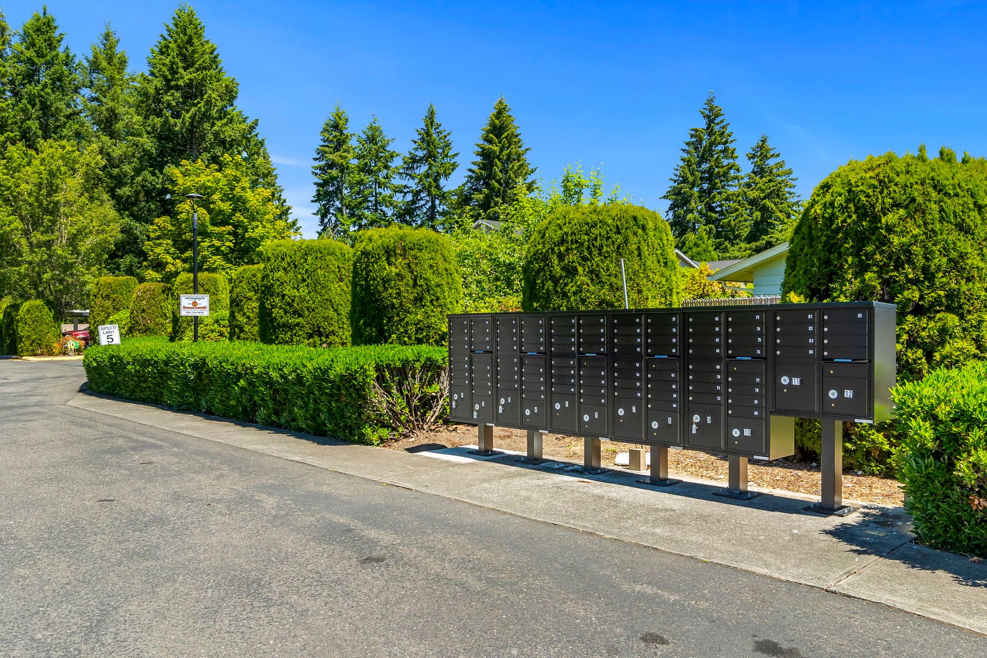 Centralia Apartment: 3007 Borst Ave