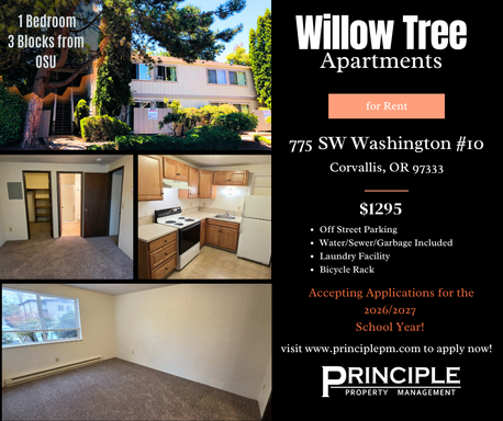 Centrally located one-bedroom apartment – photo 1