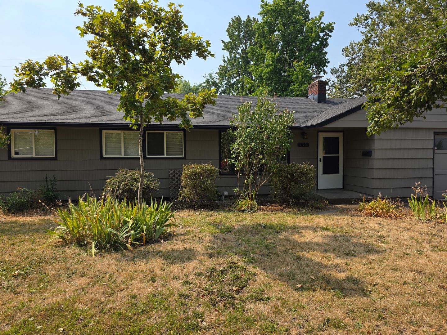 Eugene Apartment: 1190 W 18th Ave & 1815 Tyler St.