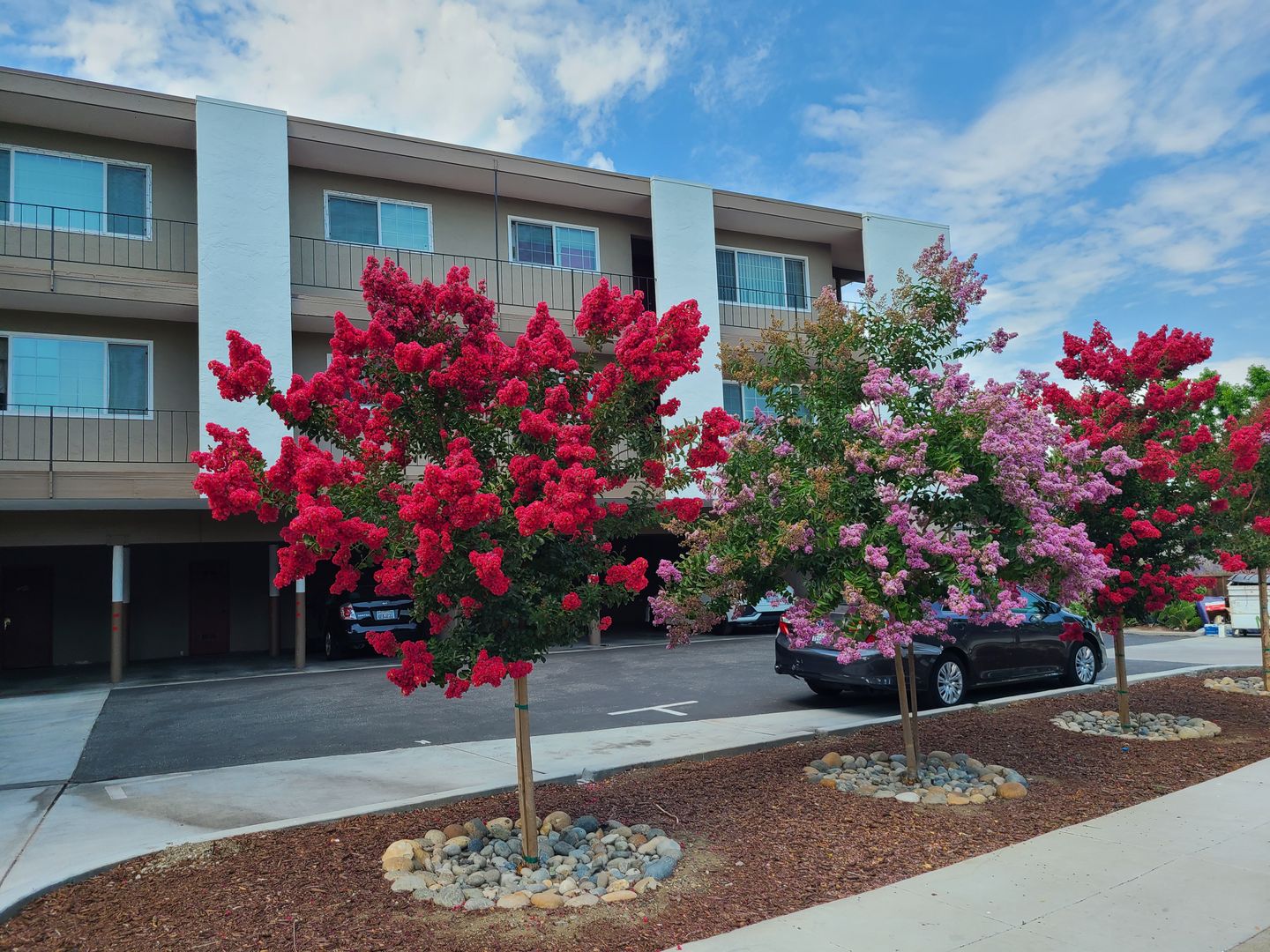 San Jose Apartment: 809 Malone Rd.