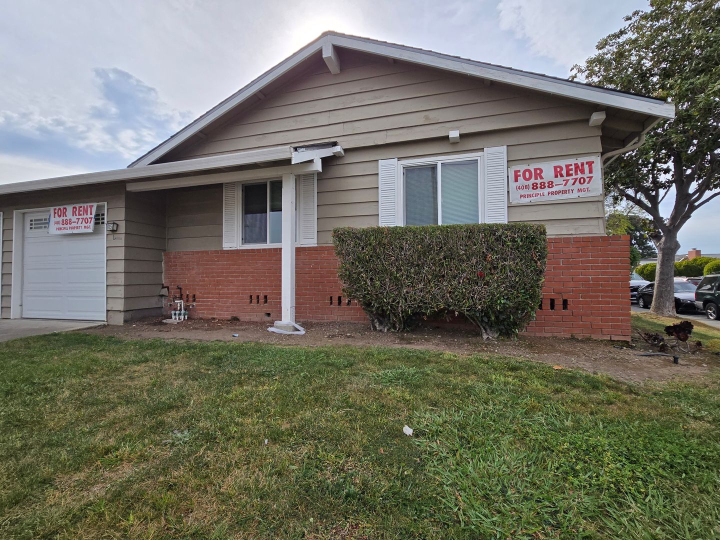 Sunnyvale Apartment: 915-17 Henderson Ave.