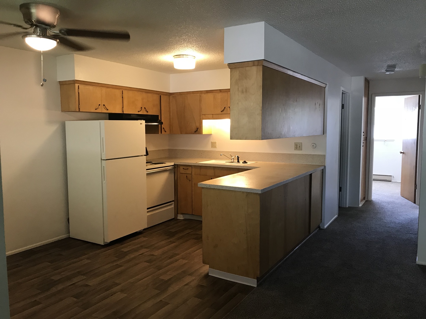 Nampa Apartment: 401 S Holly St