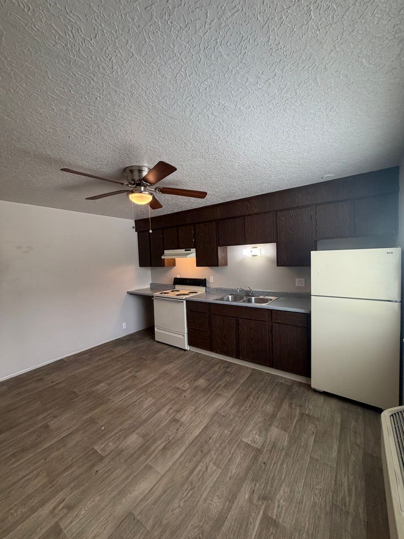 Nampa Apartment: 401 S Holly St