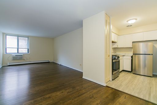 Spacious One Bedroom in Lincoln Park – photo 1