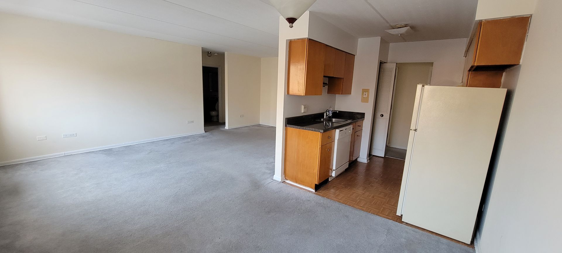 Evanston Apartment: 918 Washington Street