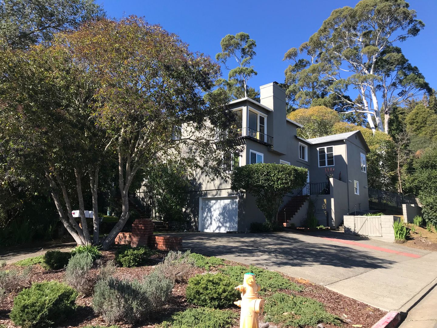 Larkspur Apartment: 10 Frances Avenue