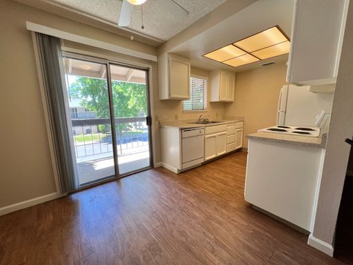 Spacious 1-Bedroom Apartment with Walk-In Closet – photo 1
