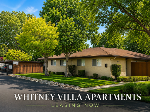 ✨2 Bedroom, 1 Bath Newly Remodeled Cottage Apartment ✨ – photo 1