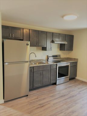 Beautifully Renovated High-End 1-Bedroom Apartment – Heat & Hot Water Included – photo 1
