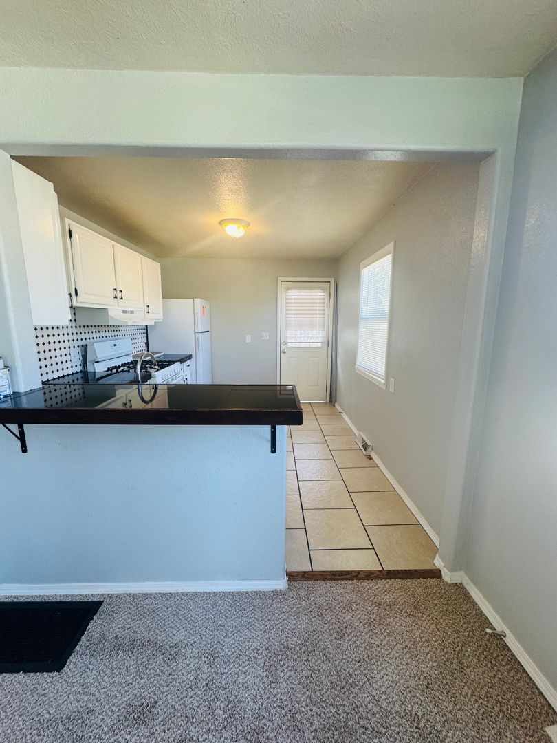 Colorado Springs Apartment: 1317-1323 E. Las Animas Street