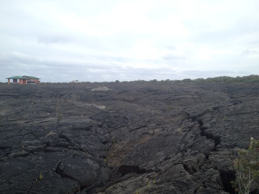 Kalapana Gardens! - $180 Month / $200 Down