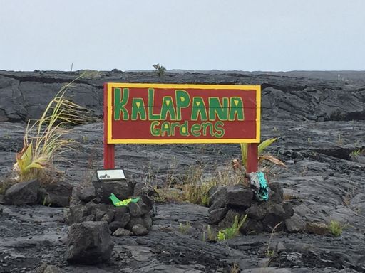 Kalapana Gardens! - $280 Month / $500 Down