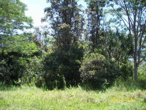 Level Building Lot - $230 Month / $300 Down