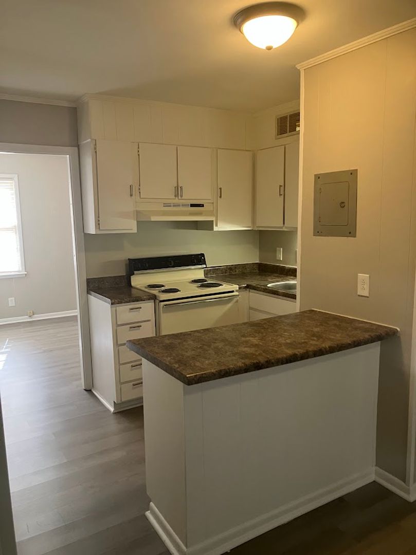 Macon Apartment: 241 Riley Ave