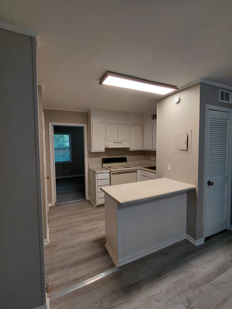 Macon Apartment: 241 Riley Ave