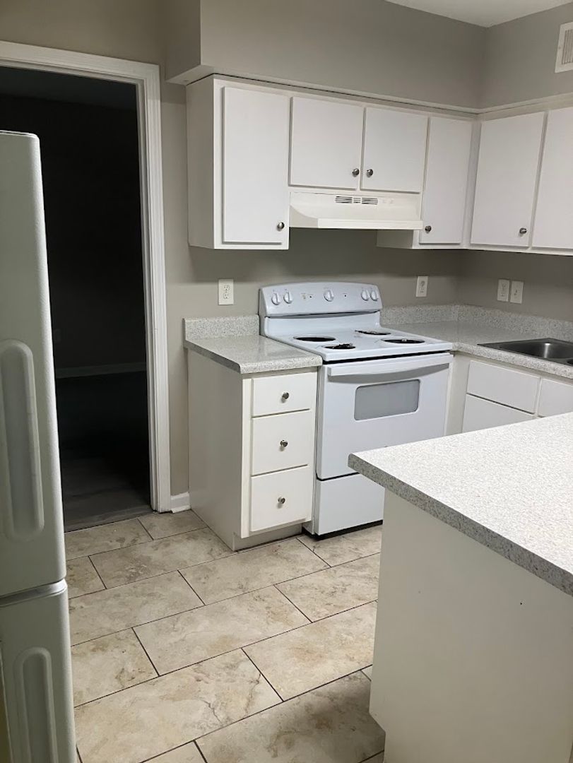 Macon Apartment: 241 Riley Ave