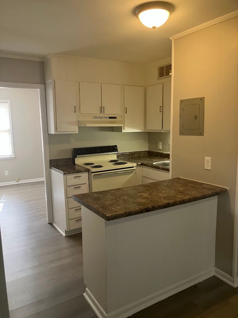 Macon Apartment: 241 Riley Ave