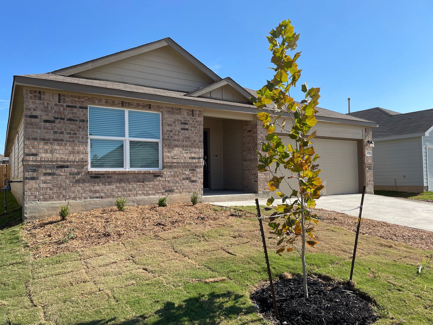 New Braunfels House: 458 Fairy Duster Dr.