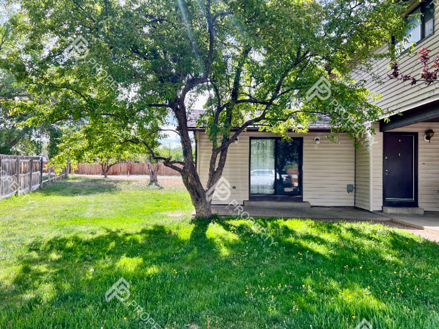 Rifle Apartment: 867 Birch Avenue