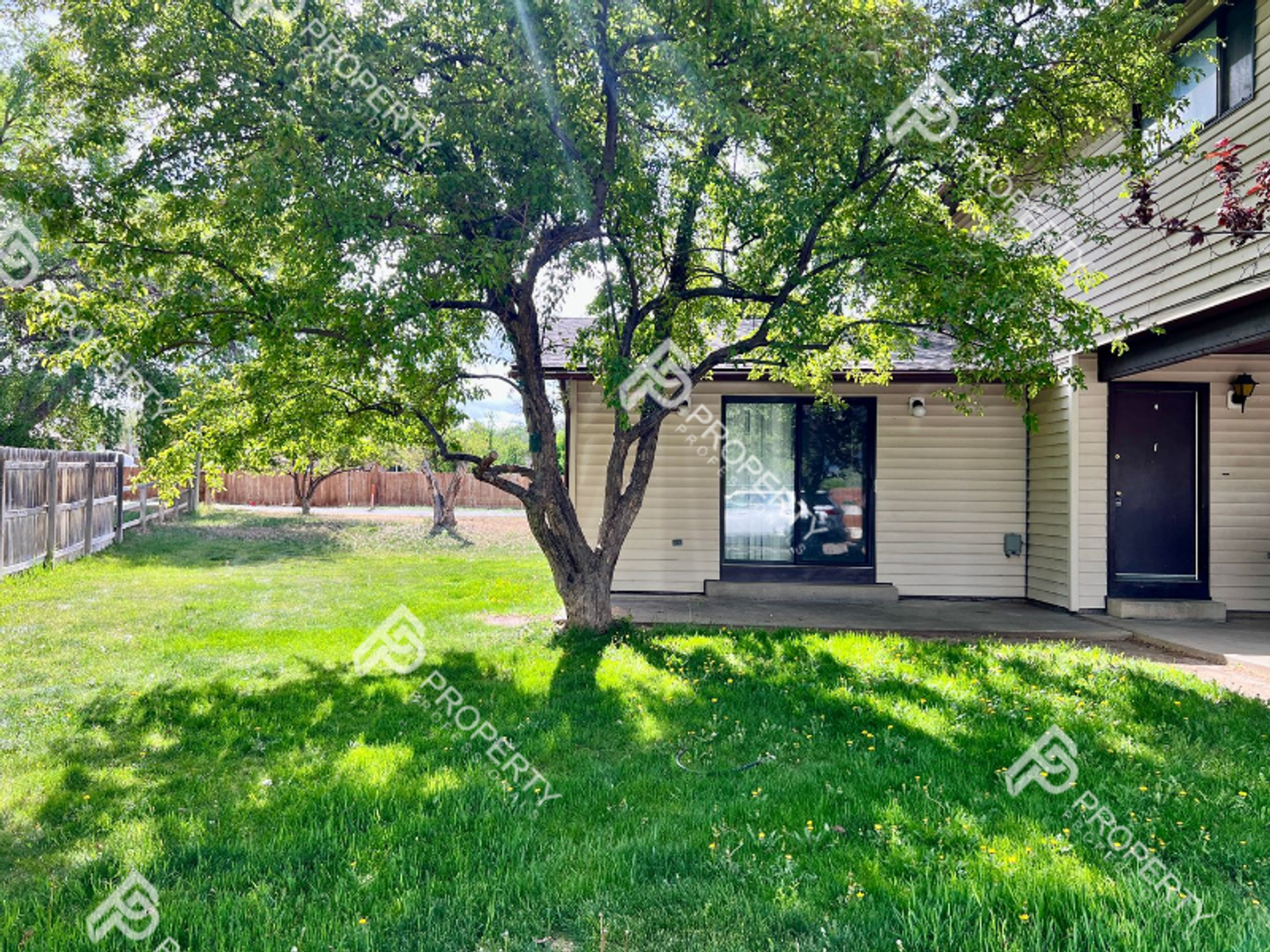 Rifle Apartment: 867 Birch Avenue