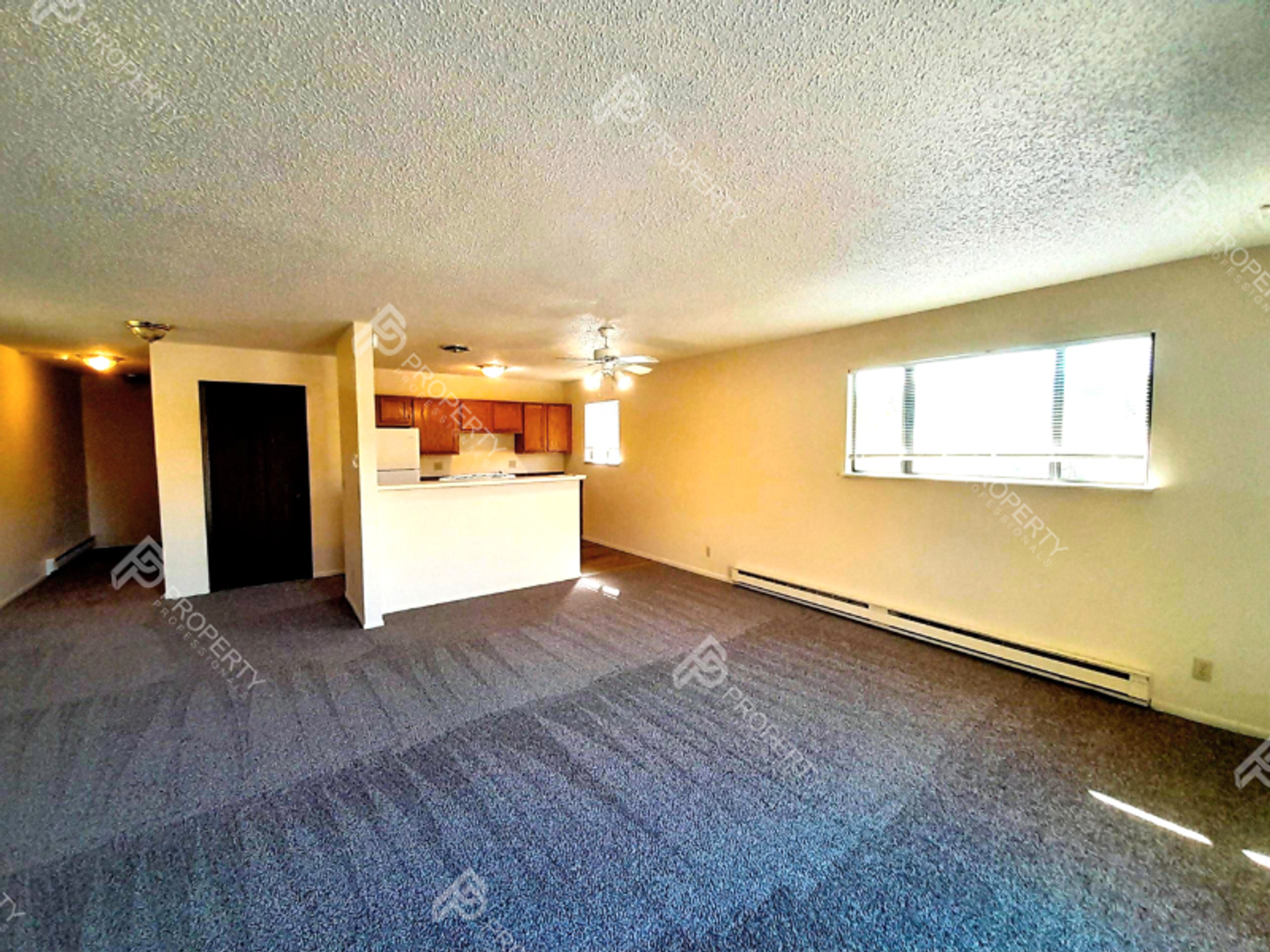 Rifle Apartment: 867 Birch Avenue