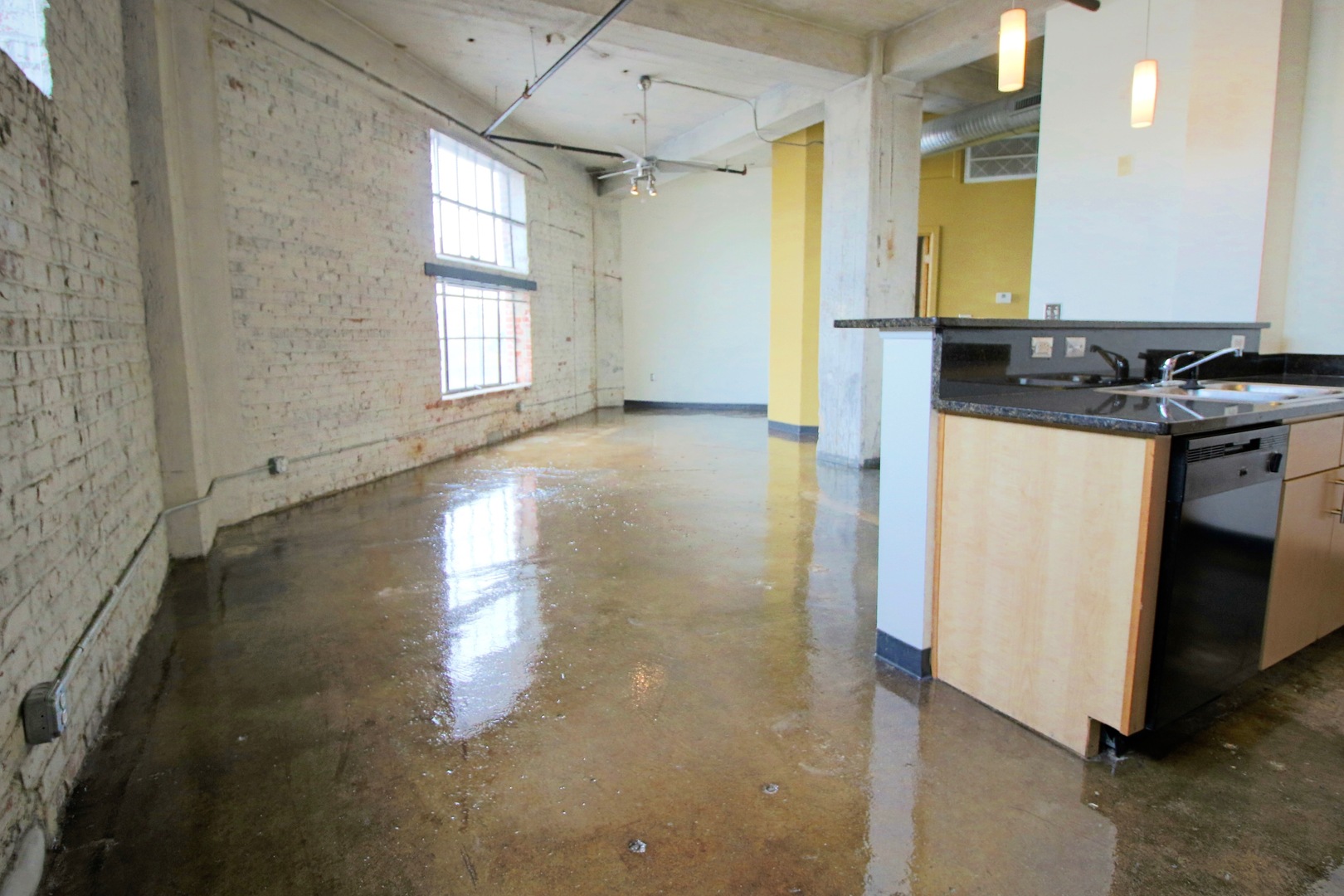 Richmond Apartment: 203 Hull Street