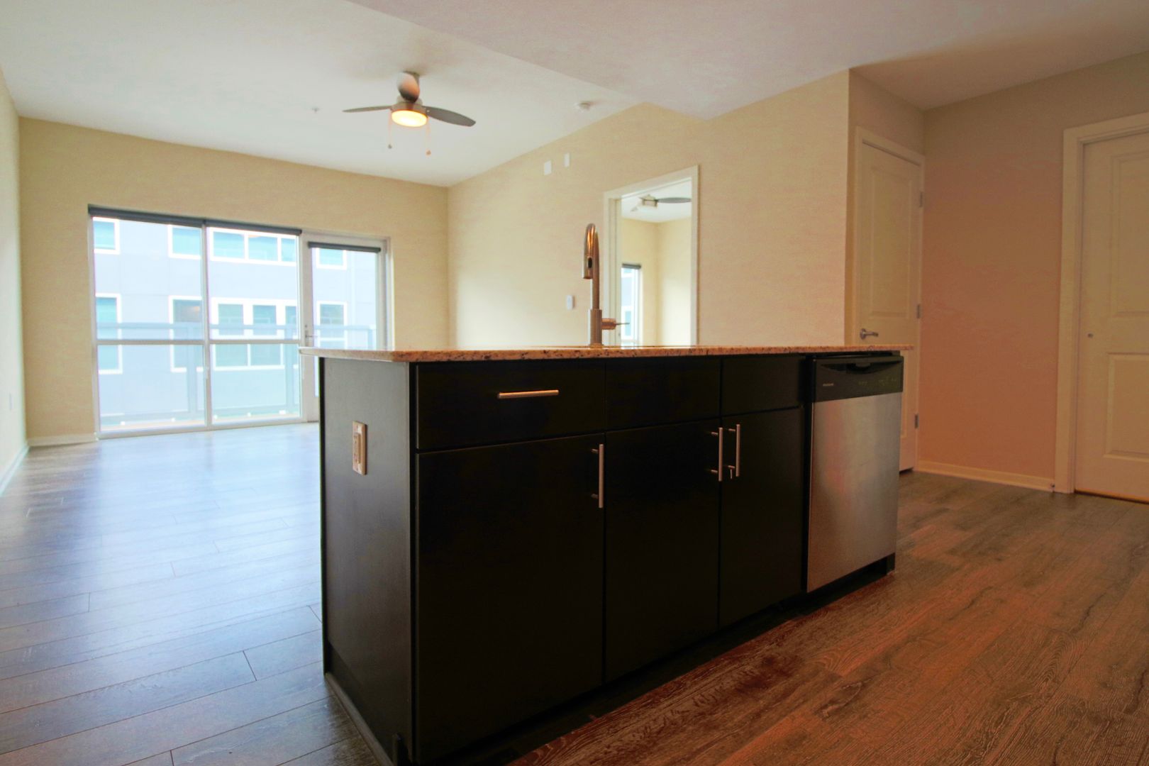 Richmond Apartment: 500 Hull Street
