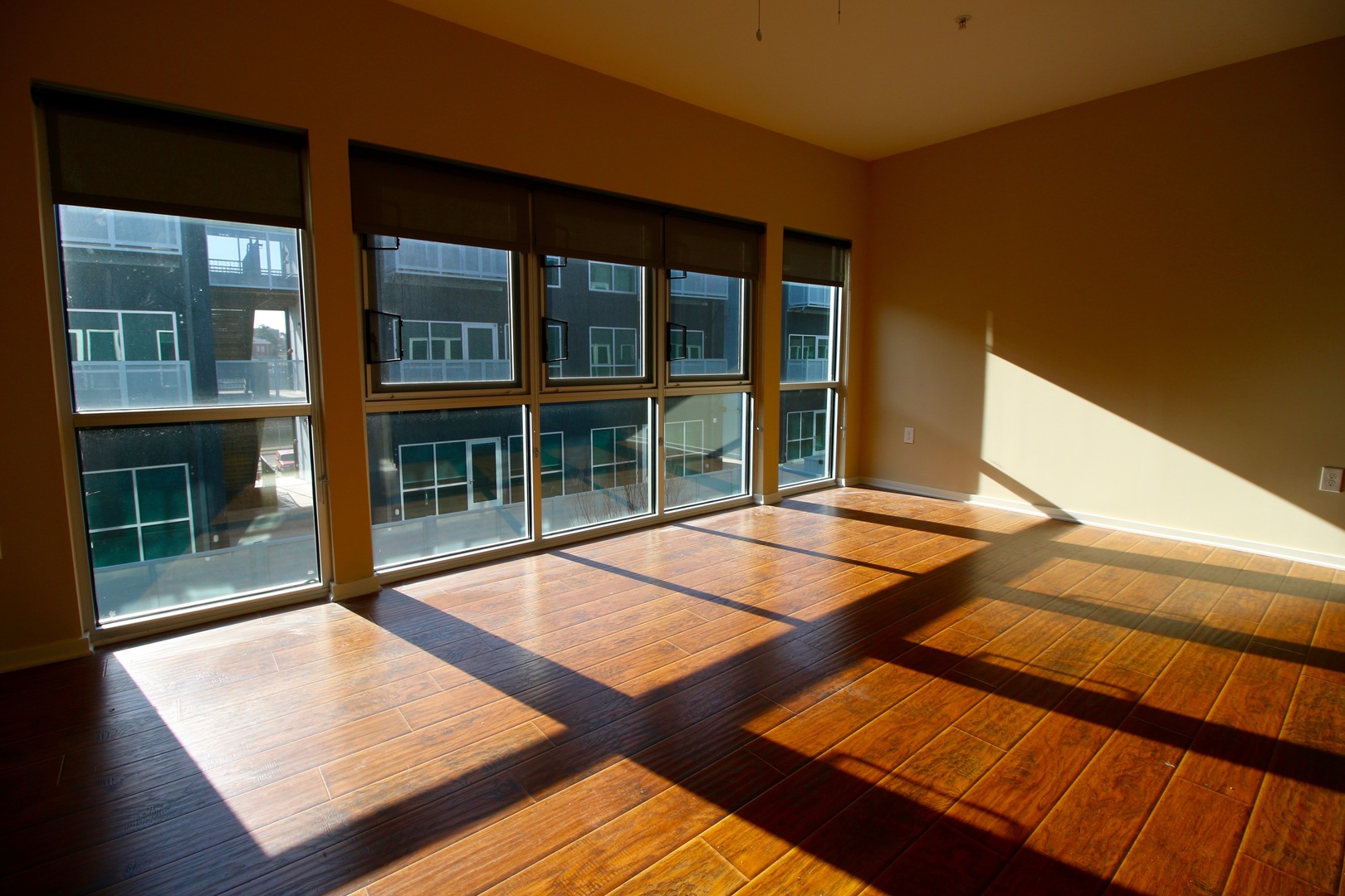 Richmond Apartment: 500 Hull Street