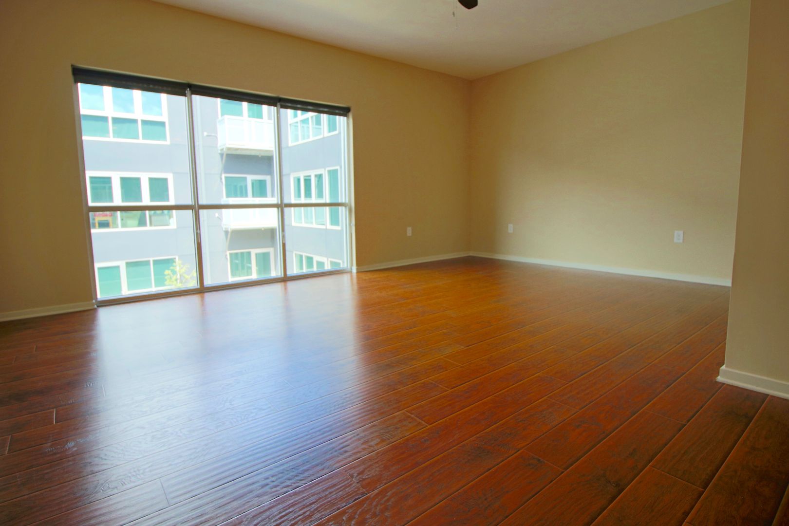 Richmond Apartment: 500 Hull Street