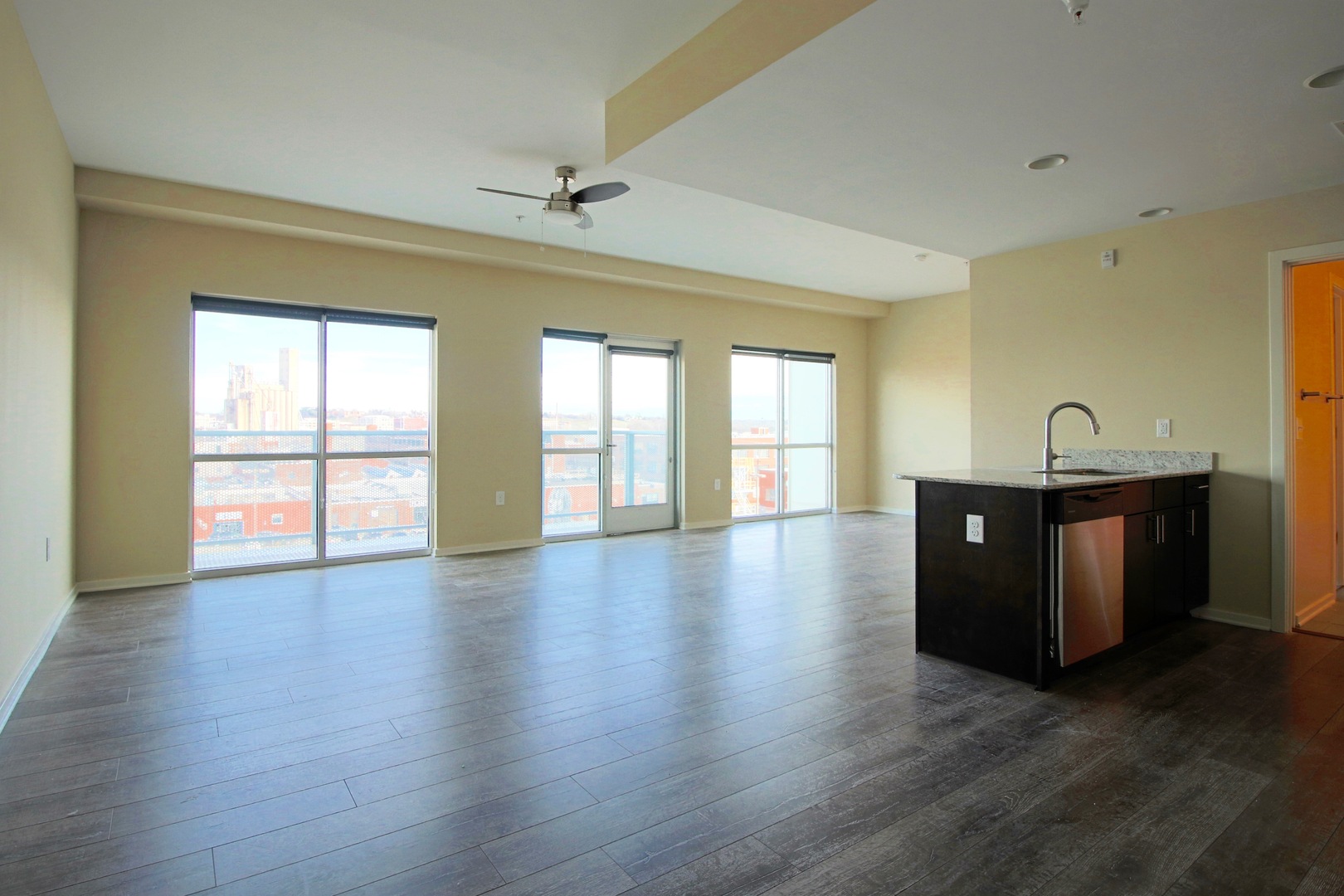 Richmond Apartment: 500 Hull Street