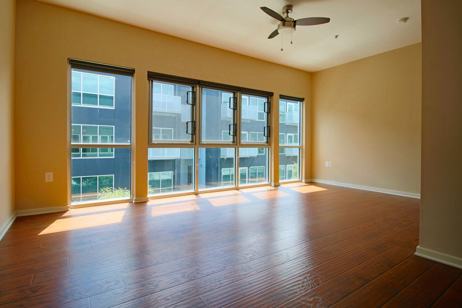 Richmond Apartment: 500 Hull Street