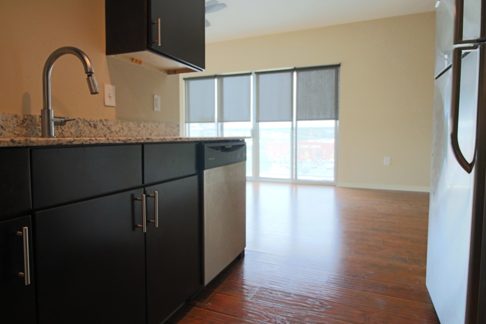 Richmond Apartment: 500 Hull Street