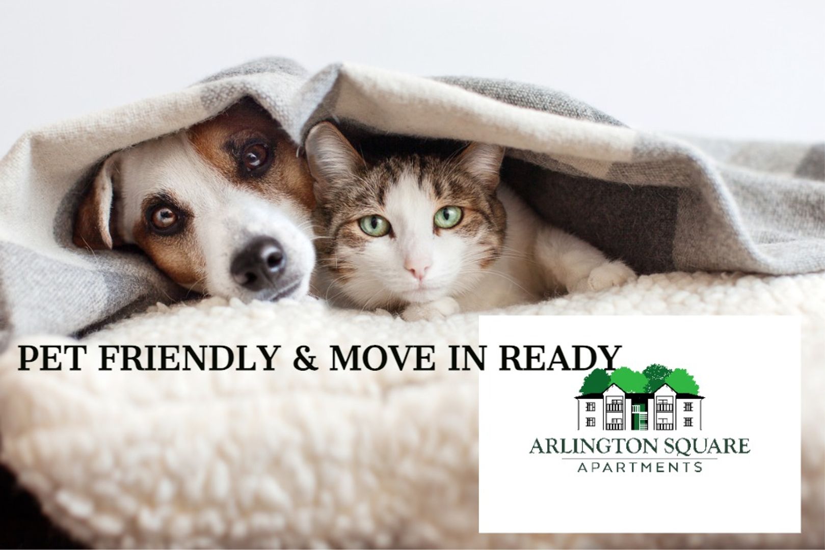 Asheboro Apartment: 1901 North Fayetteville Street