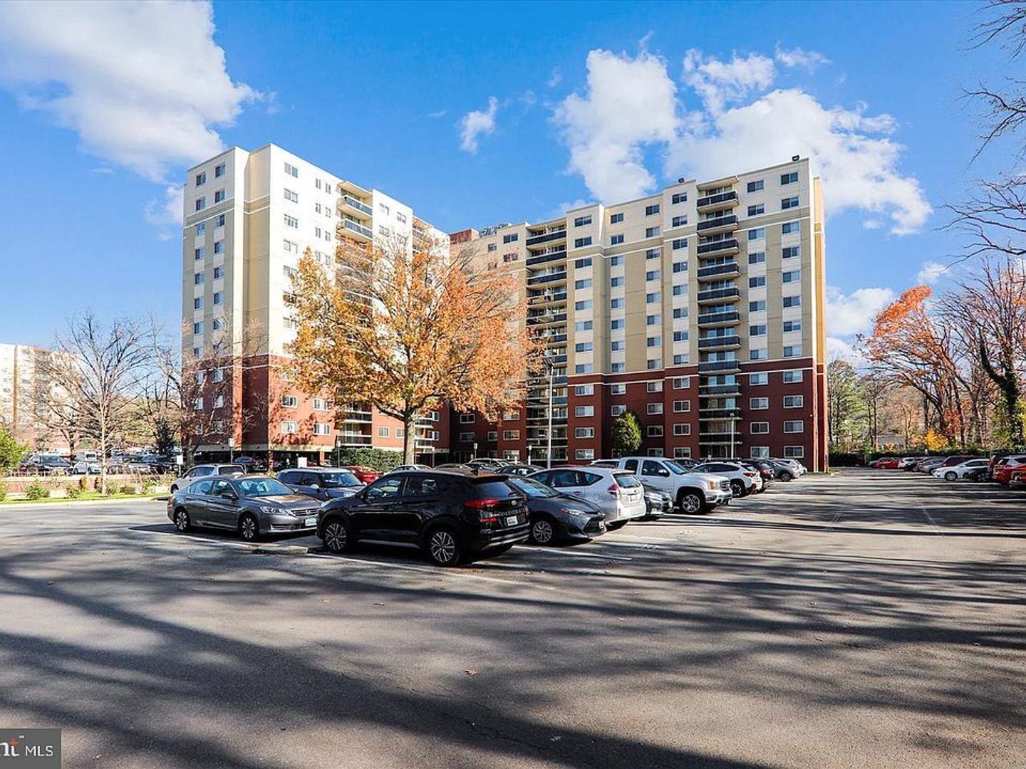 Takoma Park Condo: 7333 New Hampshire Ave. #1116