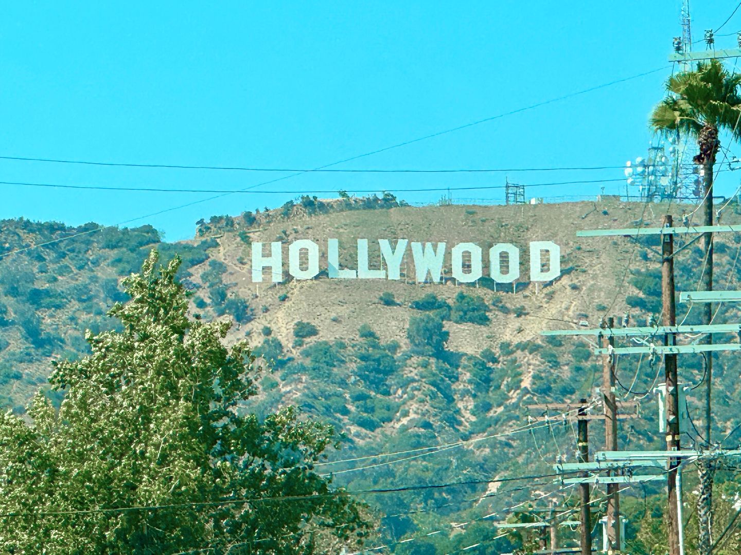 Los Angeles Apartment: 6100 Glen Alder Street
