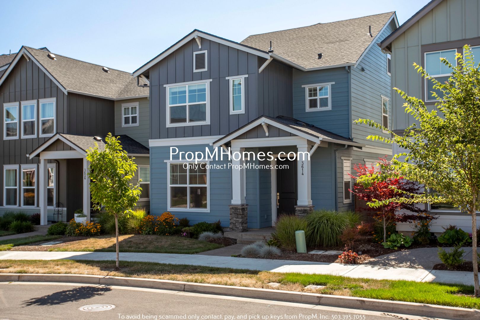 Hillsboro House: 3614 SE Nebula Lane - NEW PROPERTY