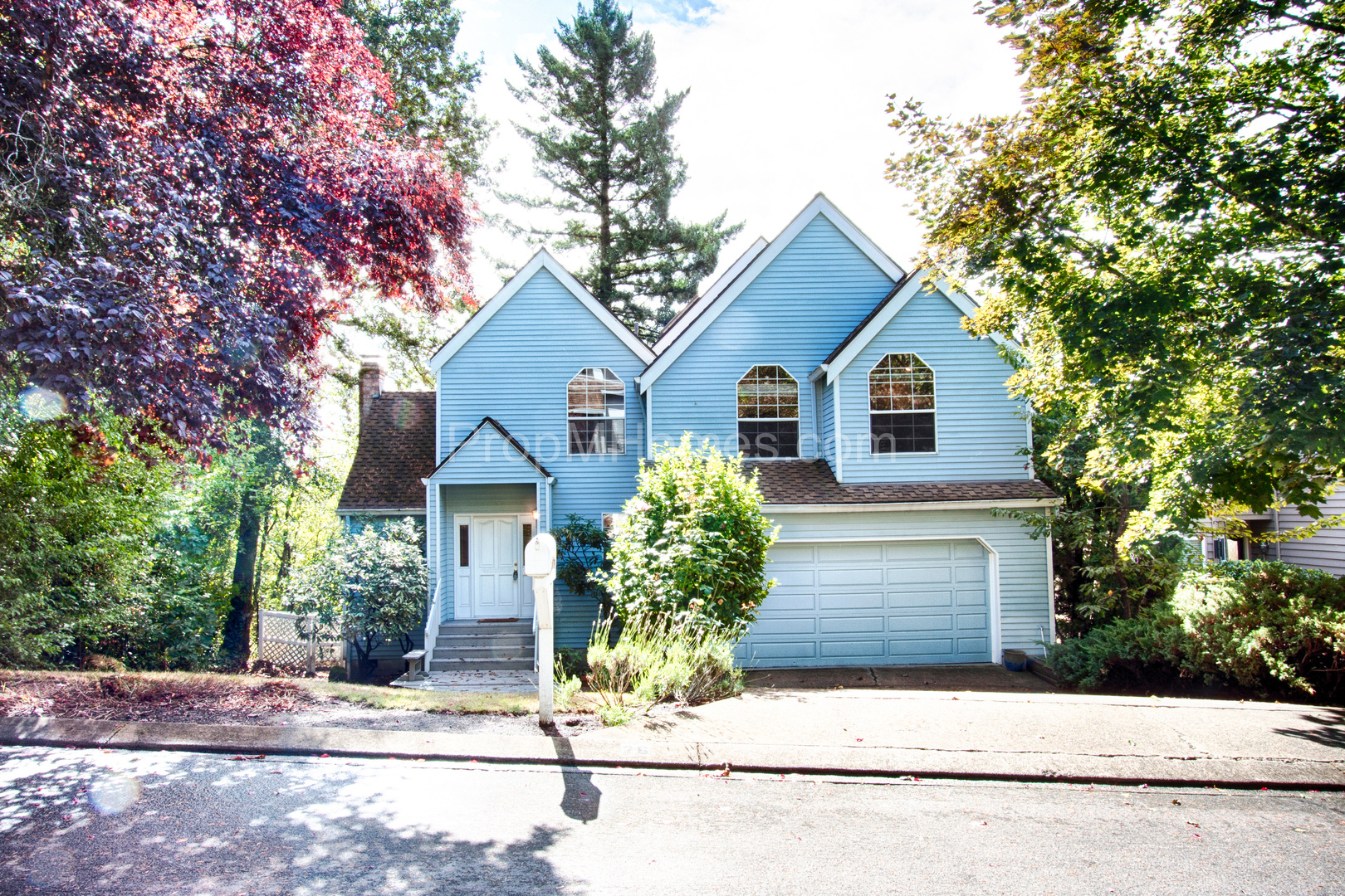 Lake Oswego House: 26 Spinosa