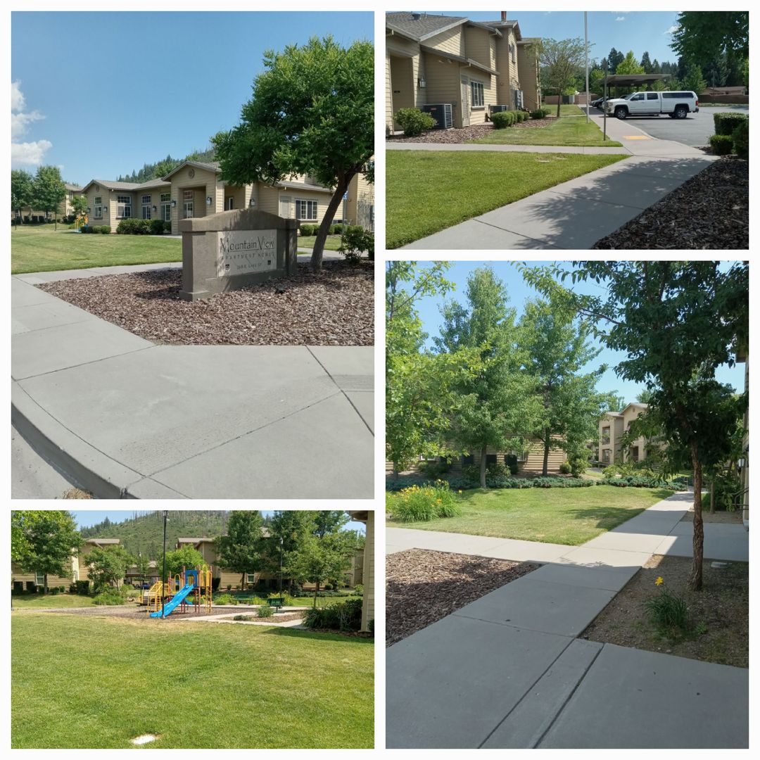 Weed Apartment: 272 East Lake Street