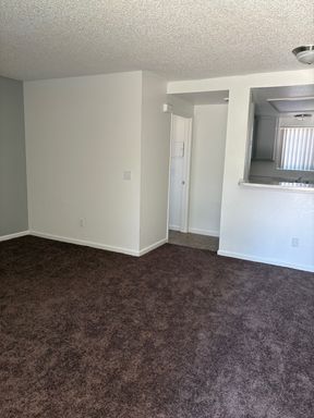 studio 1125