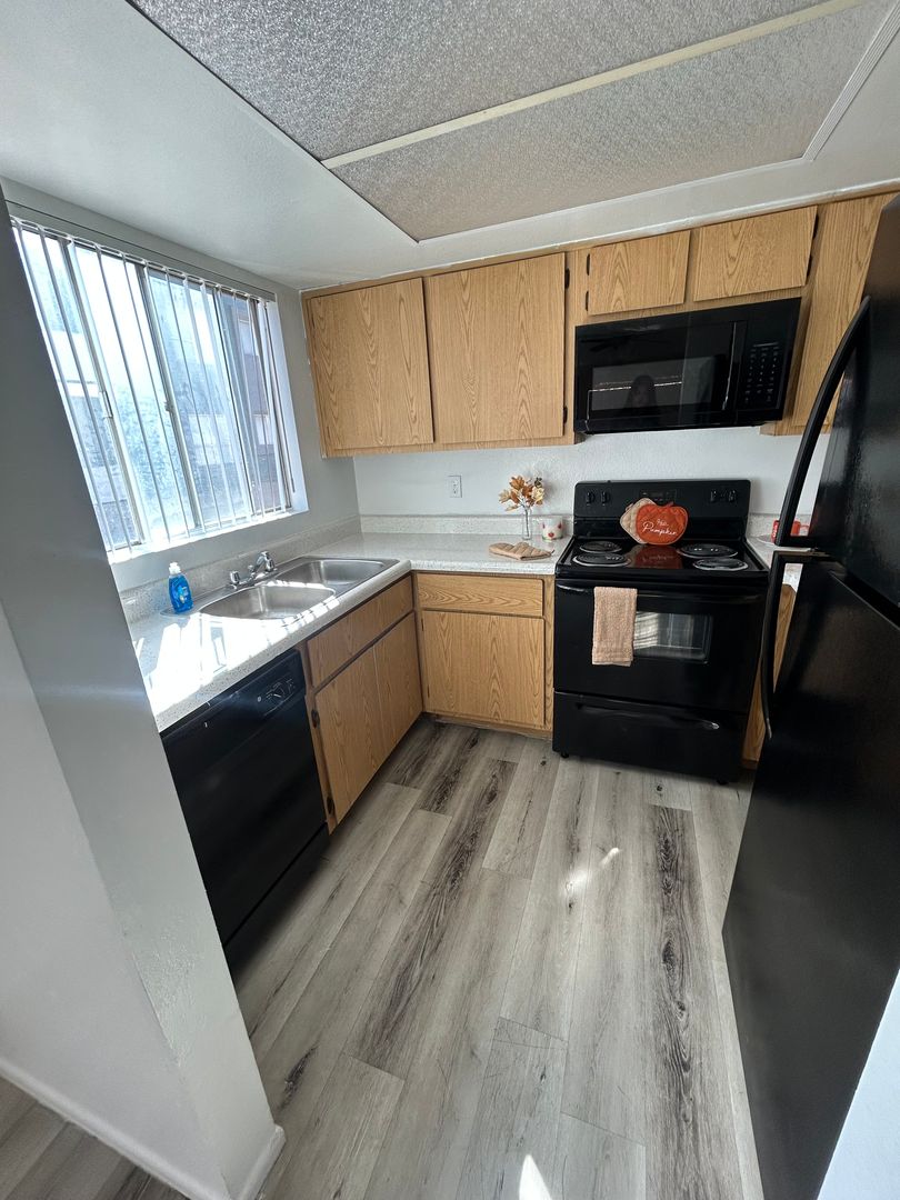 Apartment kitchen — representative home at San Marina Apartments.