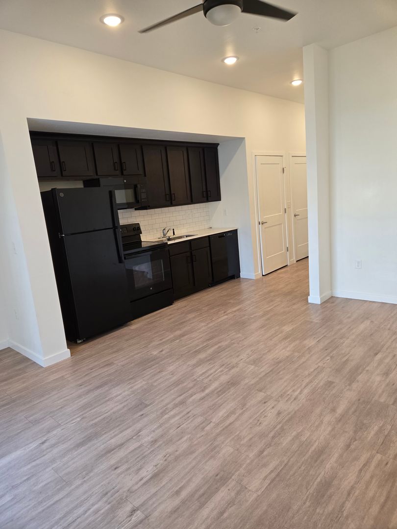 Springfield Apartment: 1310 E St. Louis Street